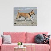 Toile Chihuahua sur la plage (Insitu(Salon))