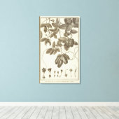 Toile Chili 10 (Insitu (Plancher de Bois))