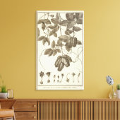 Toile Chili 10 (Insitu(Salon))