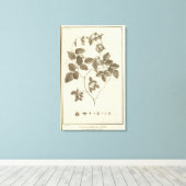 Toile Chili 8 (Insitu (Plancher de Bois))