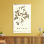 Toile Chili 8 (Insitu(Salon))