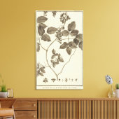 Toile Chili 9 (Insitu(Salon))