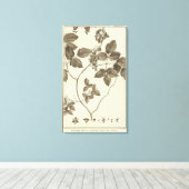 Toile Chili 9 (Insitu (Plancher de Bois))