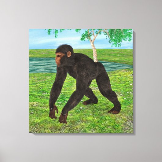 Toile Chimpanzé (Recto)