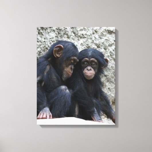 Toile Chimpanzé 002 (Recto)