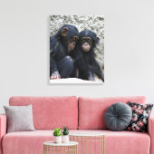 Toile Chimpanzé 002 (Insitu(Salon))