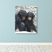 Toile Chimpanzé 002 (Insitu (Plancher de Bois))