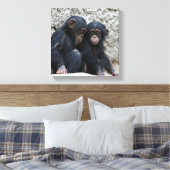 Toile Chimpanzé 002 (Insitu(Chambre))