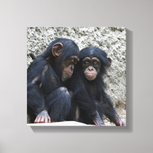 Toile Chimpanzé 002 (Recto)