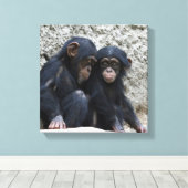 Toile Chimpanzé 002 (Insitu (Plancher de Bois))