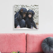 Toile Chimpanzé 002 (Insitu(Salon))
