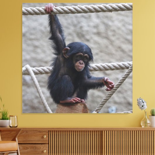 Toile Chimpanzé 017 (Insitu(Salon))