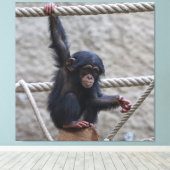 Toile Chimpanzé 017 (Insitu (Plancher de Bois))