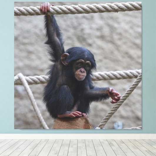 Toile Chimpanzé 017 (Insitu (Plancher de Bois))