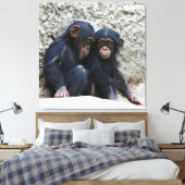 Toile Chimpanzé 022 (Insitu(Chambre))