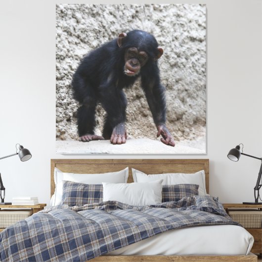 Toile Chimpanzé 031 (Insitu(Chambre))