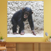 Toile Chimpanzé 031 (Insitu(Salon))