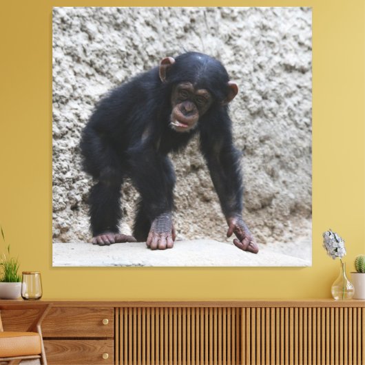 Toile Chimpanzé 031 (Insitu(Salon))