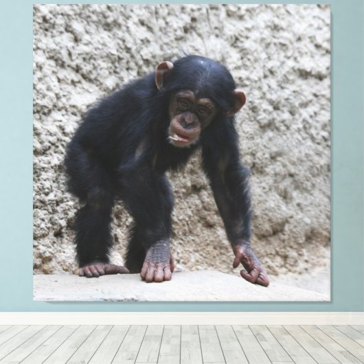 Toile Chimpanzé 031 (Insitu (Plancher de Bois))