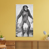 Toile Chimpanzé, 1699 (Insitu(Salon))