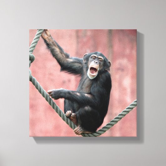 Toile Chimpanzée 001 (Recto)