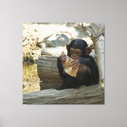 Toile Chimpanzée_2015_0101 (Recto)