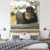 Toile Chimpanzée_2015_0101 (Insitu(Chambre))