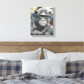 TOILE CHIMPANZÉS (Insitu(Chambre))