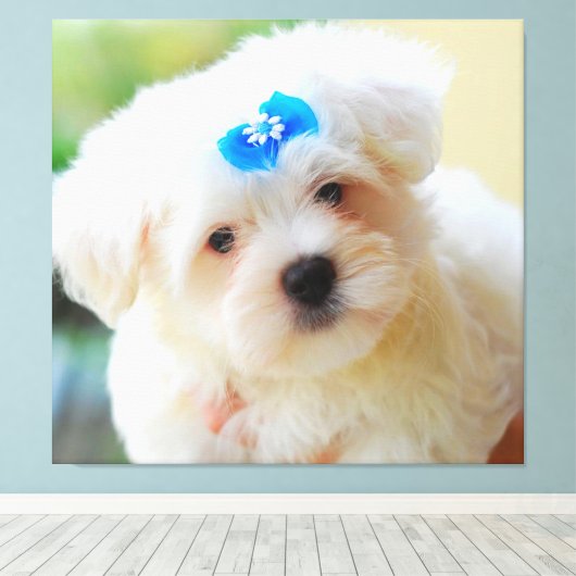 Toile Chiot (Insitu (Plancher de Bois))