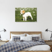 Toile Chiot 3 (Insitu(Chambre))