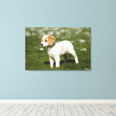 Toile Chiot 3 (Insitu (Plancher de Bois))