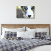 Toile Chiot australien 1 (Insitu(Chambre))