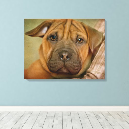 Toile Chiot Beagle Sharpei (Insitu (Plancher de Bois))