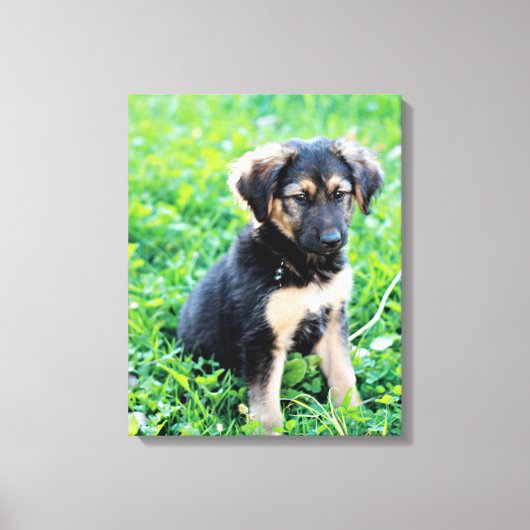 Toile Chiot berger allemand (Recto)