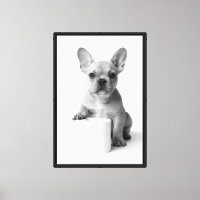 Chiot Bouledogue Français Minimal Papier Toilette