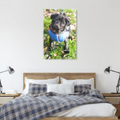 Toile Chiot Carlin Noir Portant Une Veste (Insitu(Chambre))