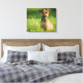 Toile Chiot Dans L'Herbe (Insitu(Chambre))
