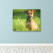 Toile Chiot Dans L'Herbe (Insitu (Plancher de Bois))