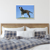 Toile Chiot de boîte vieux de 3 mois (Insitu(Chambre))