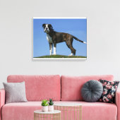 Toile Chiot de boîte vieux de 3 mois (Insitu(Salon))