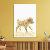 Toile Chiot de caniche (Insitu(Salon))