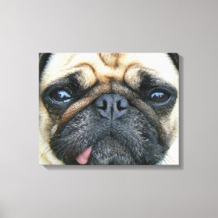 Toile Chiot de carlin
