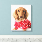 Toile Chiot de Dachshund portant l'tenue de Saint Valent (Insitu (Plancher de Bois))