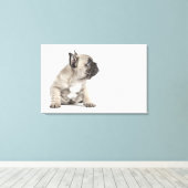 Toile Chiot de Pedigree (Insitu (Plancher de Bois))