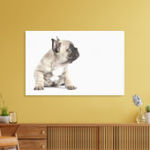 Toile Chiot de Pedigree (Insitu(Salon))