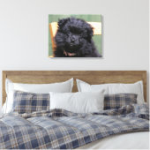 Toile Chiot de Poméranie Noire (Insitu(Chambre))