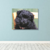 Toile Chiot de Poméranie Noire (Insitu (Plancher de Bois))