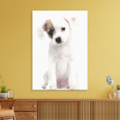 Toile Chiot de race croisée (2 mois) (Insitu(Salon))