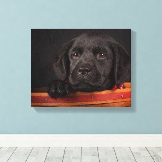 Toile Chiot de récupération du labrador noir dans un pan (Insitu (Plancher de Bois))