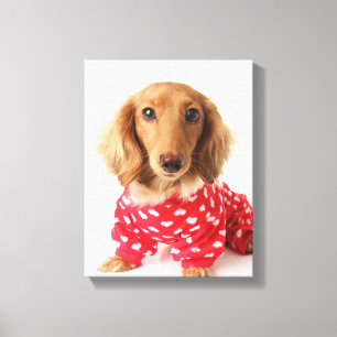 Toile Chiot de teckel utilisant l'équipement de